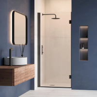 Душевая дверь в нишу RGW Hotel HO-011-B 800х1950 профиль черный, стекло прозрачное