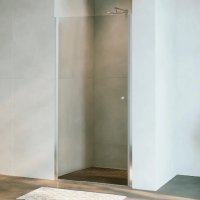 Душевая дверь в нишу RGW Dolphin 54930309-11 TN-03 90х195, профиль хром, стекло прозрачное