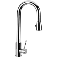 Смеситель для кухни Remer Gourmet N85