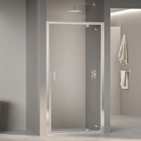 Душевая дверь в нишу RGW Passage PA-105 90 см, профиль хром
