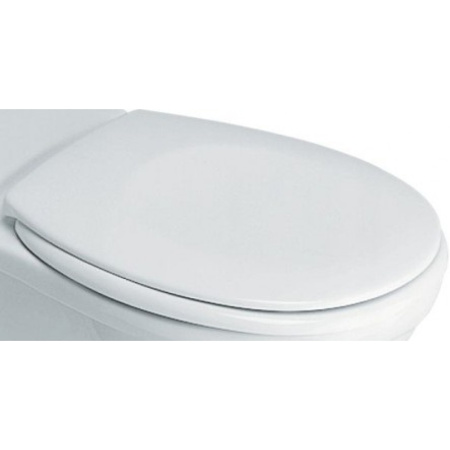 Сиденье Ideal Standard Contour 21 S406501 для унитаза, с микролифтом, белый