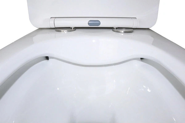 унитаз-моноблок azario morano 680x370х830 напольный, безободковый, в комплекте со смывным механизмом geberit и сиденьем дюропласт микролифт (az-1001-g)