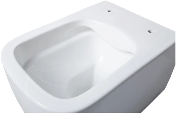 унитаз подвесной allen brau liberty 4.32003.20 без сиденья, цвет белый.