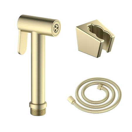 Гигиенический душ Aquatek AQ2054BG цвет Золото шлифованное