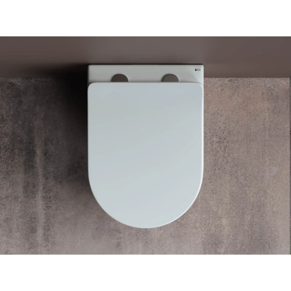 унитаз ceramicanova mia rimless cn1805 подвесной, с сиденьем микролифт, белая унитаз ceramicanova mia rimless cn1805 подвесной, с сиденьем микролифт, белая