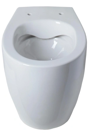 унитаз приставной allen brau fantasy 4.11007.20 без сидения