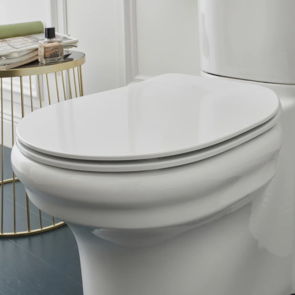 сиденье для унитаза с микролифтом jacob delafon cleo 1889 e24048-0