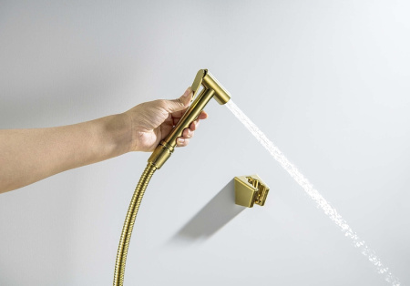 гигиенический душ aquatek aq2054bg цвет золото шлифованное