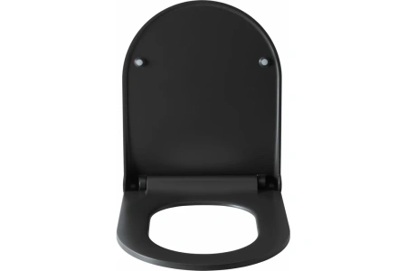 сиденье для унитаза allen brau priority 4.31004.an антрацит с микролифтом
